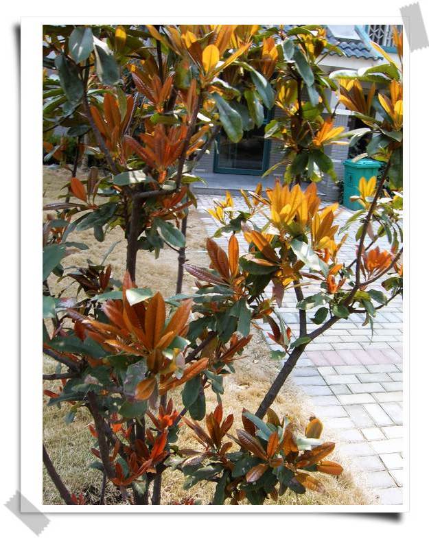 С˧��Ĵ�Ů��