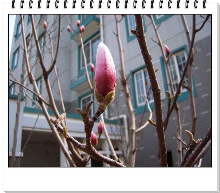 С˧��Ĵ�Ů��