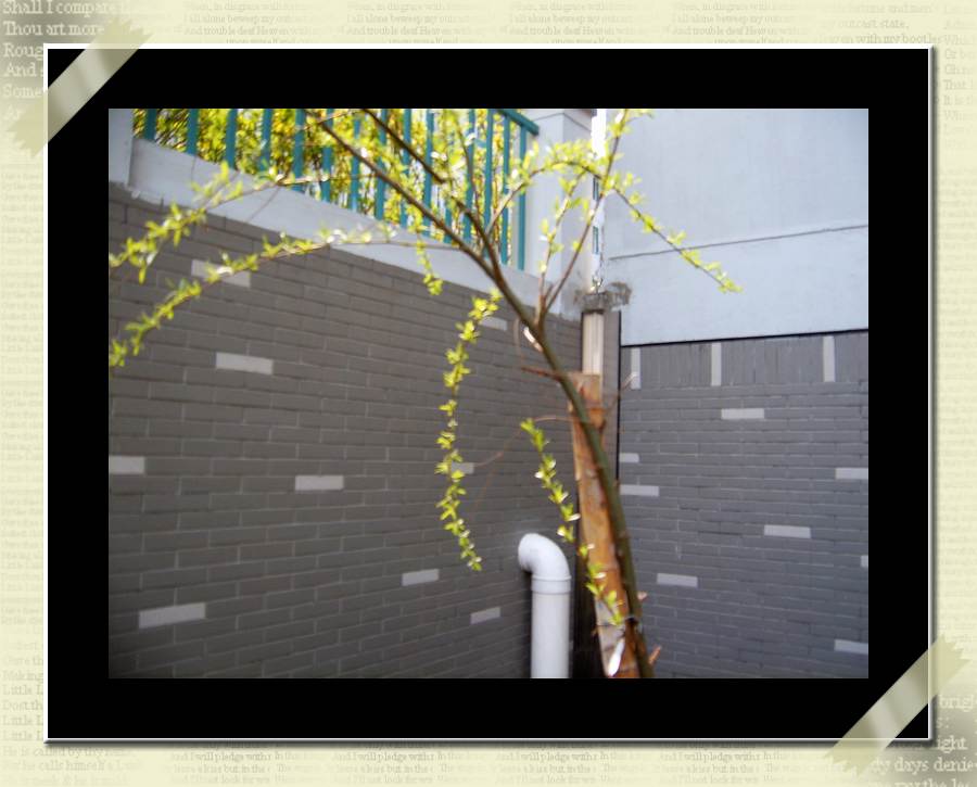 С˧��Ĵ�Ů��