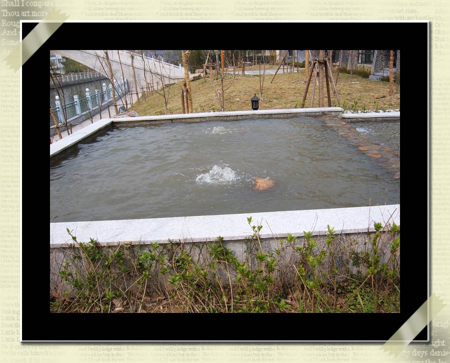 С˧��Ĵ�Ů��