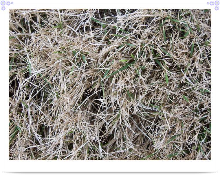 С˧��Ĵ�Ů��