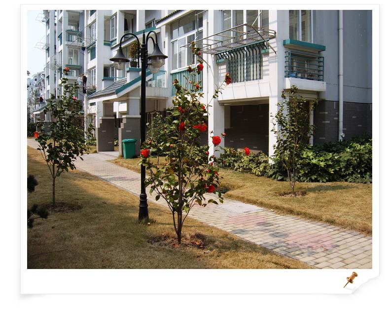 С˧��Ĵ�Ů��