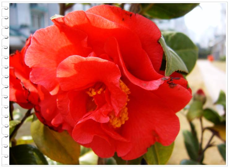 С˧��Ĵ�Ů��