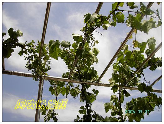 ѫ�¾տ��˺���������21��õ������P4