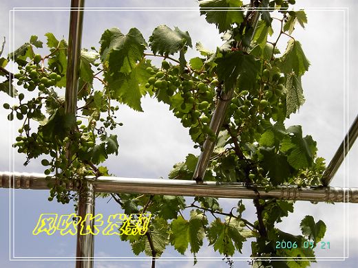 ѫ�¾տ��˺���������21��õ������P4