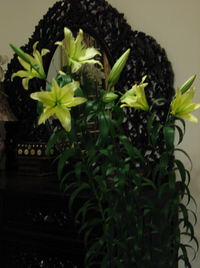 ���˰ٺϿ��޻���