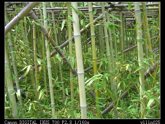 ������̬԰