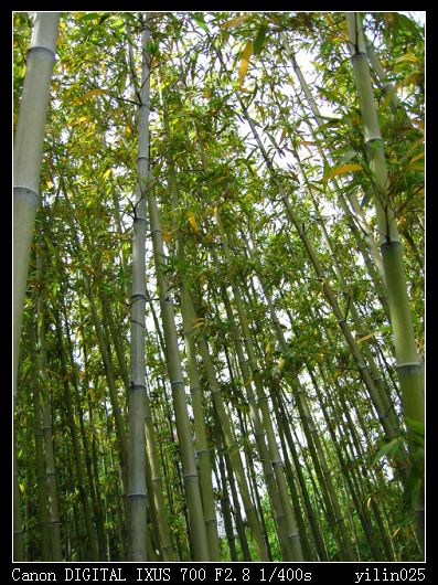 ������̬԰