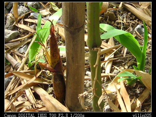 ������̬԰