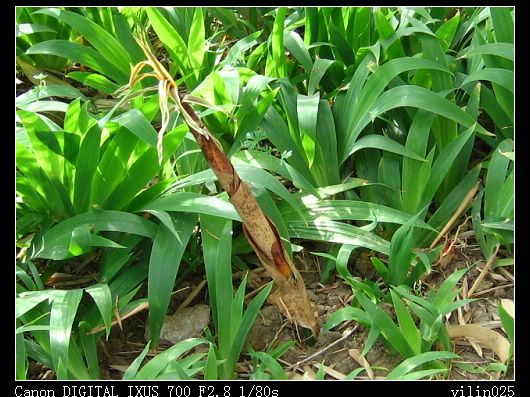 ������̬԰