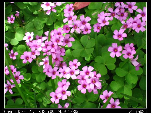 ������̬԰