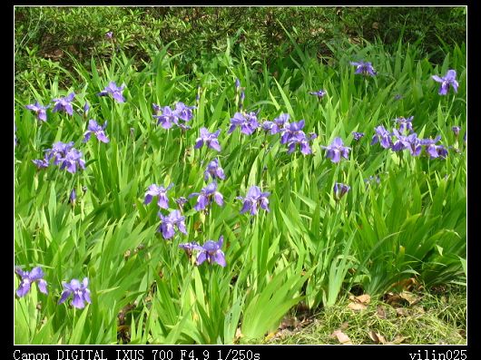 ������̬԰