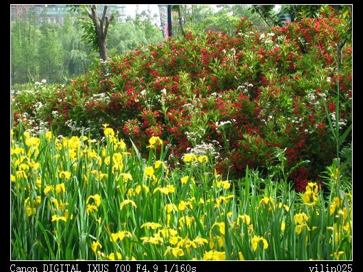 ������̬԰