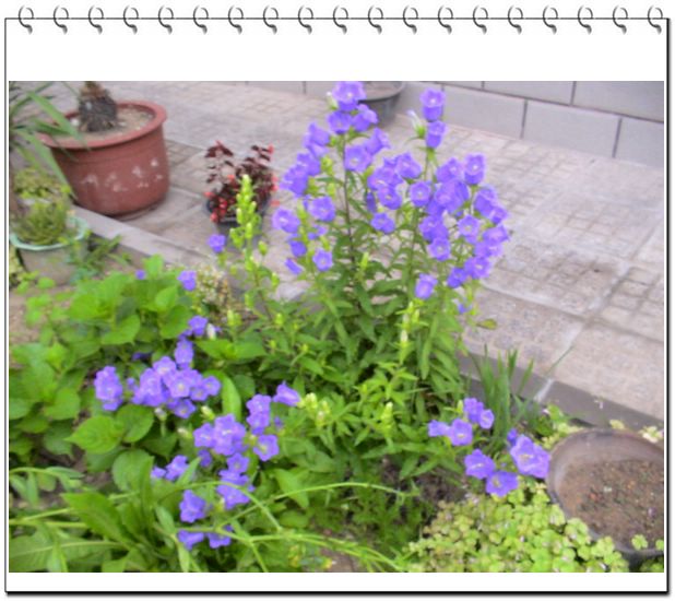 ����һ��ſϿ��Ļ�