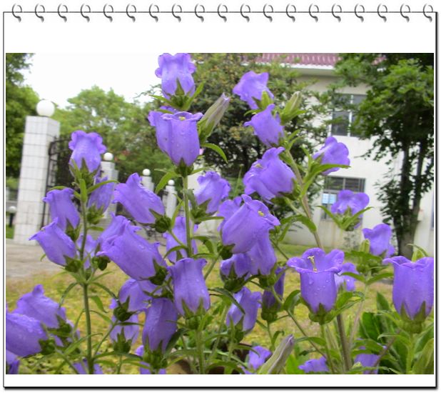 ����һ��ſϿ��Ļ�