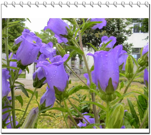 ����һ��ſϿ��Ļ�