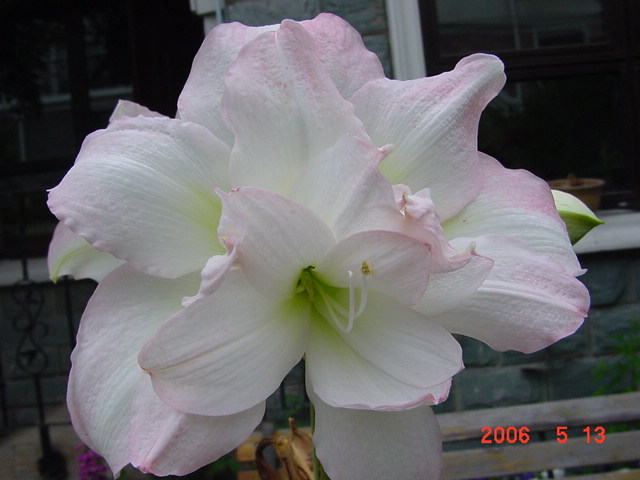 ����СԺ����P12 ���ٺ�����