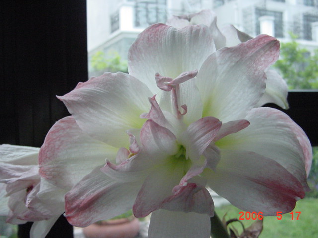 ����СԺ����P12 ���ٺ�����