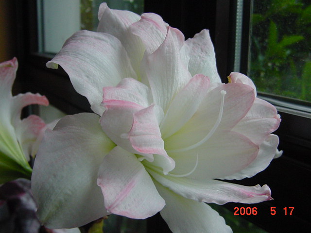 ����СԺ����P12 ���ٺ�����