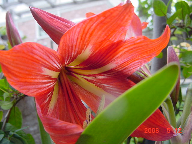 ����СԺ����P12 ���ٺ�����