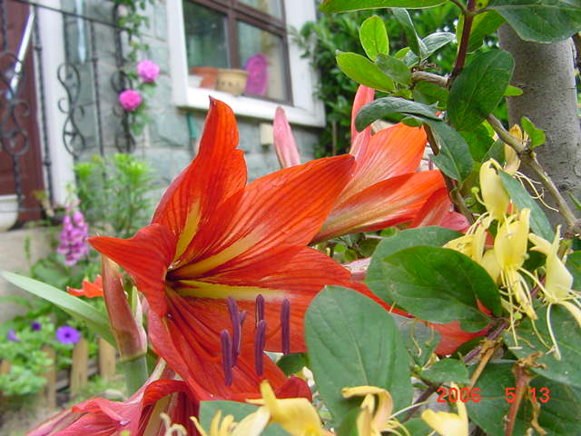 ����СԺ����P12 ���ٺ�����