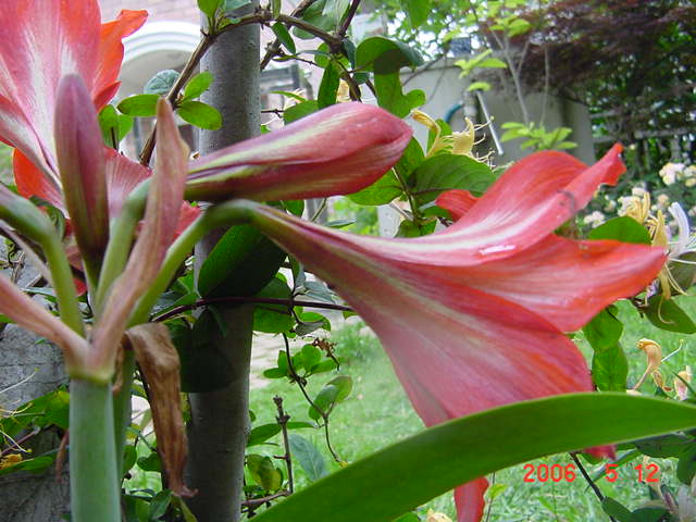 ����СԺ����P12 ���ٺ�����