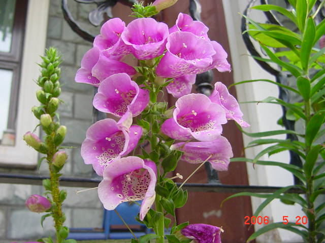 ����СԺ����P12 ���ٺ�����