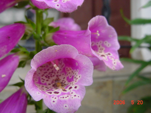 ����СԺ����P12 ���ٺ�����