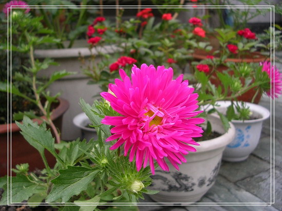 ����ʶ�Ļ�����(���)