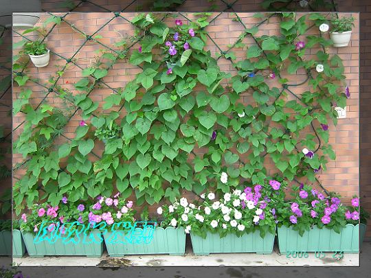 ѫ�¾տ��˺���������21��õ������P4