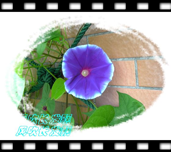 ѫ�¾տ��˺���������21��õ������P4