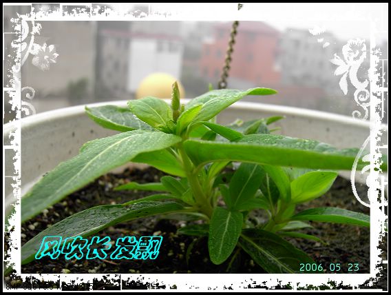 ѫ�¾տ��˺���������21��õ������P4