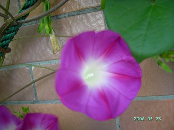 ѫ�¾տ��˺���������21��õ������P4