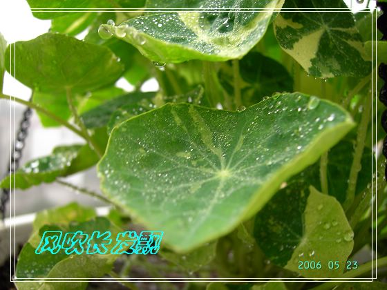 ѫ�¾տ��˺���������21��õ������P4