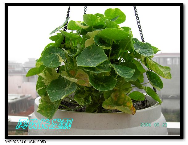 ѫ�¾տ��˺���������21��õ������P4