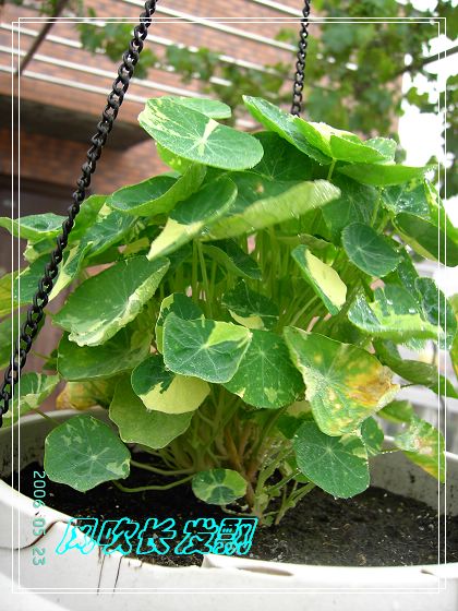 ѫ�¾տ��˺���������21��õ������P4