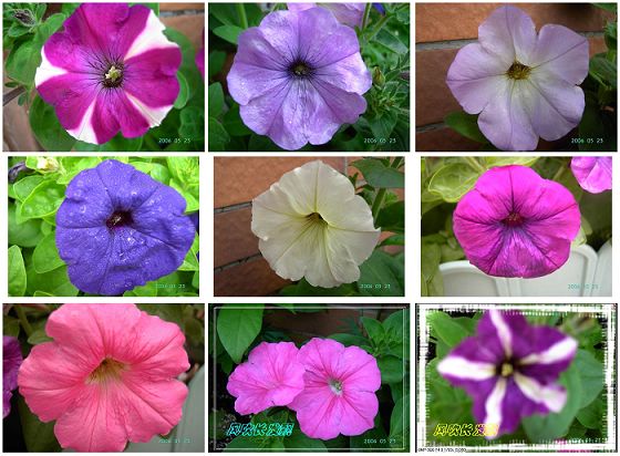 ѫ�¾տ��˺���������21��õ������P4