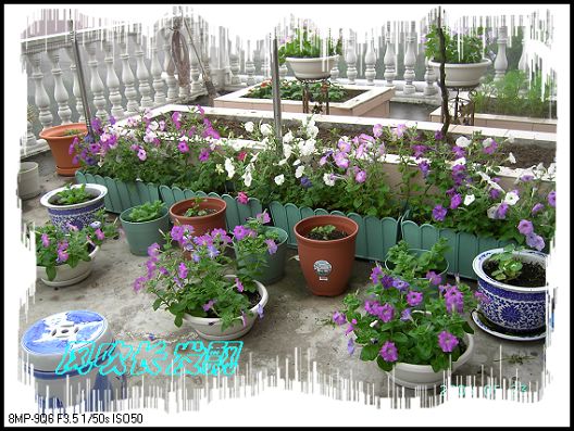 ѫ�¾տ��˺���������21��õ������P4