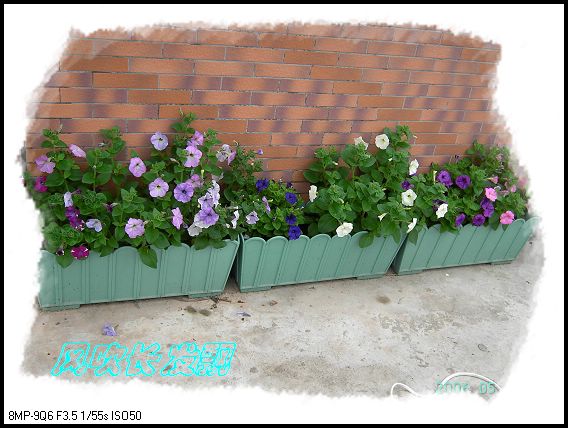 ѫ�¾տ��˺���������21��õ������P4