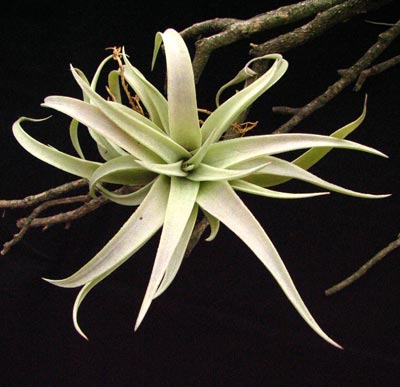 ���Ͷ̾���������Ҷ����