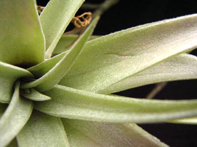 ���Ͷ̾���������Ҷ����