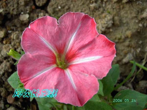 ѫ�¾տ��˺���������23�ո���