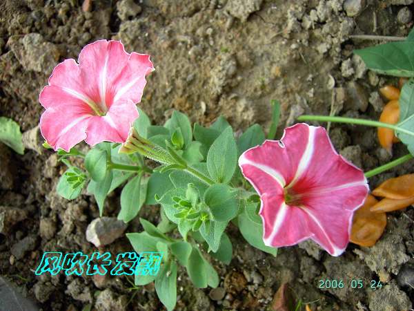 ѫ�¾տ��˺���������23�ո���