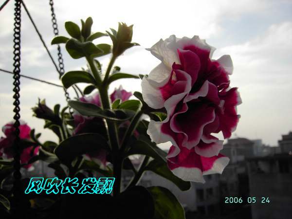 ѫ�¾տ��˺���������23�ո���