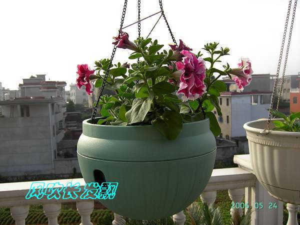 ѫ�¾տ��˺���������23�ո���