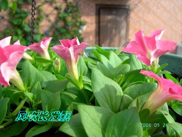 ѫ�¾տ��˺���������23�ո���