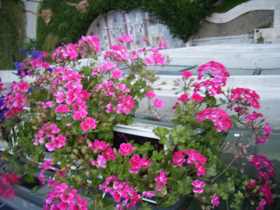 �׷׵ǳ� P8 ����   *-*����Ļ�԰*-*