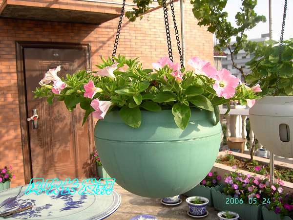 ѫ�¾տ��˺���������23�ո���