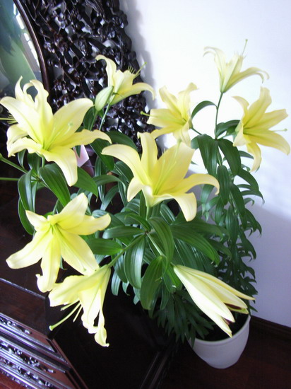 ��ɫ�籩�����ٺϻ���