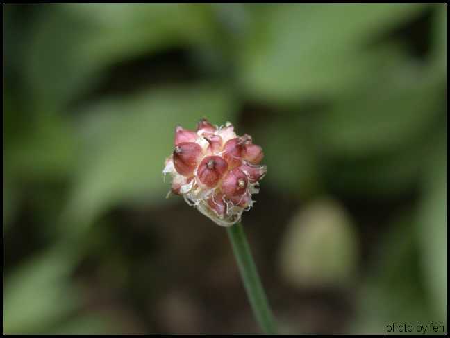 ����·�̻����е�Ұ��